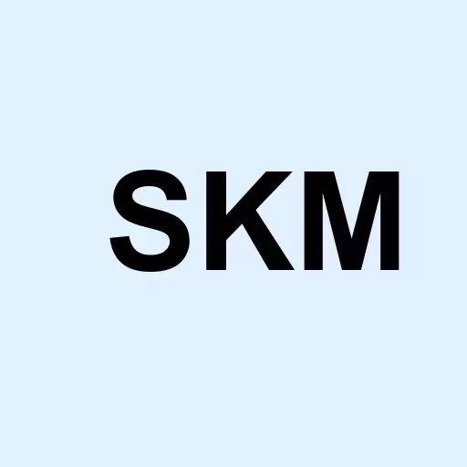 SK Telecom Co. Ltd. Logo