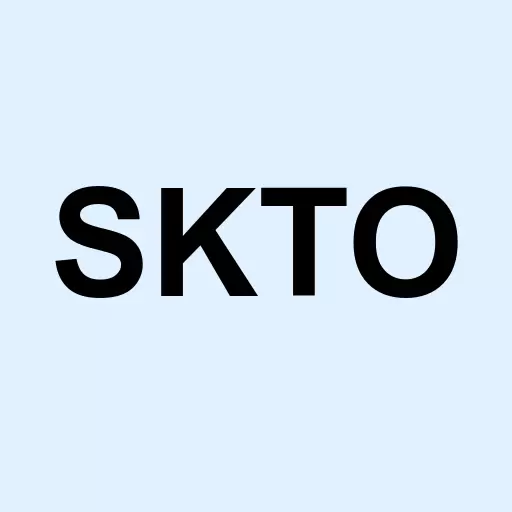 Sk3 Group Inc Logo