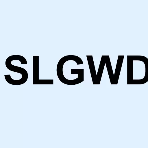 SLANG Worldwide Inc Logo