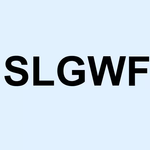 SLANG Worldwide Inc Logo
