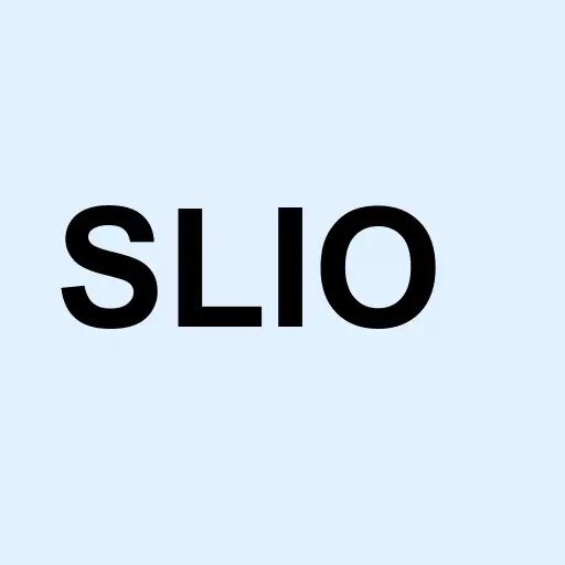 Solo International Inc. Logo