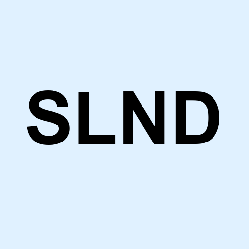 Stock slnd logo