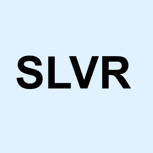 Stock slvr logo