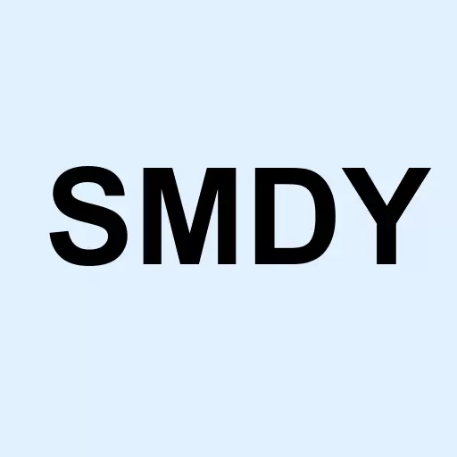 Syntax Stratified MidCap Logo