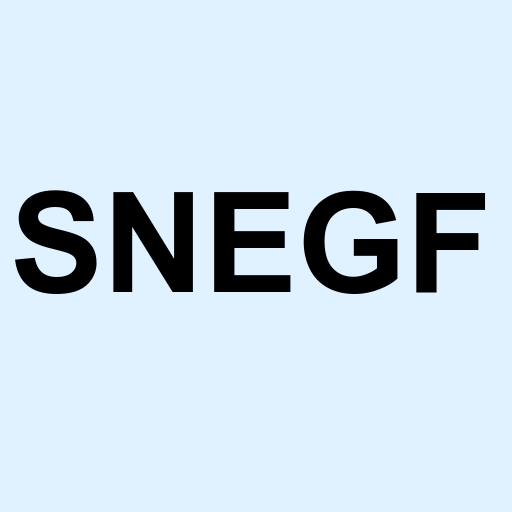 Stock snegf logo