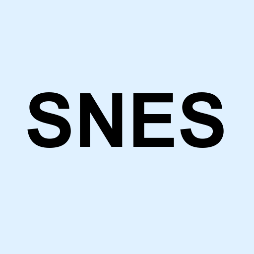 Stock SNES logo