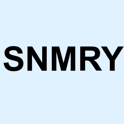 Stock snmry logo