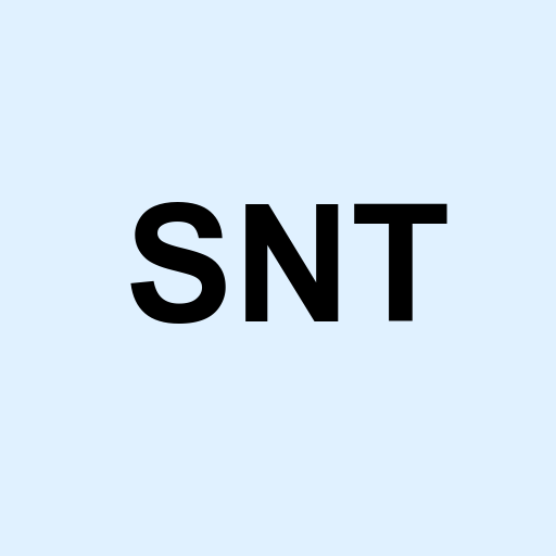 Stock SNT logo