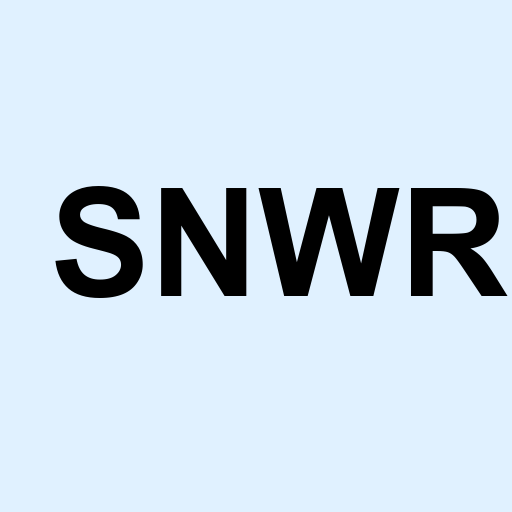 Stock snwr logo