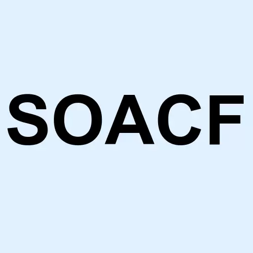 Southern Arc Minerals Inc Logo