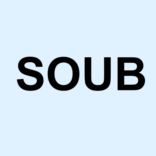 Stock soub logo