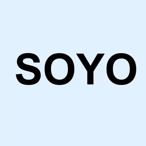 Soyo Group Inc Logo
