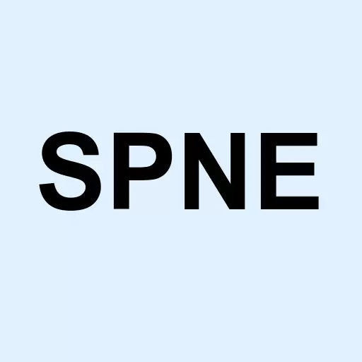 SeaSpine Holdings Corporation Logo