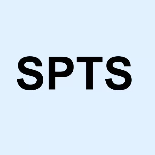 SPDR Portfolio Short Term Treasury Logo