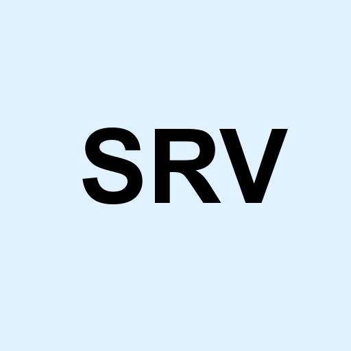 Stock srv logo