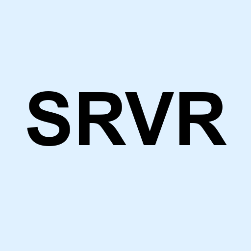 Stock SRVR logo