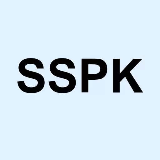 Silver Spike Acquisition Corp. Logo