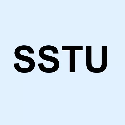 Sandy Steele Unlmtd Inc Logo