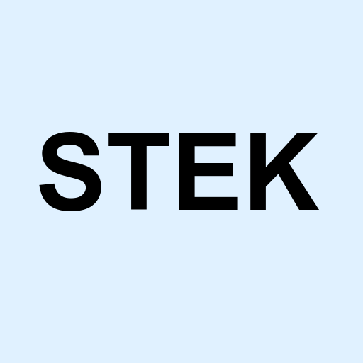 Stock stek logo