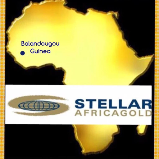Stellar Africagold Inc Logo