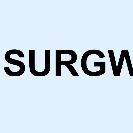 SurgePays Inc. Warrant Logo