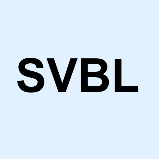 Silver Bull Resources Inc Logo