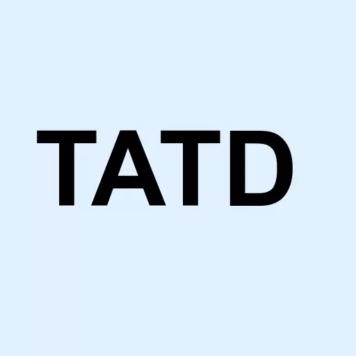 Tatyana Designs Inc Logo