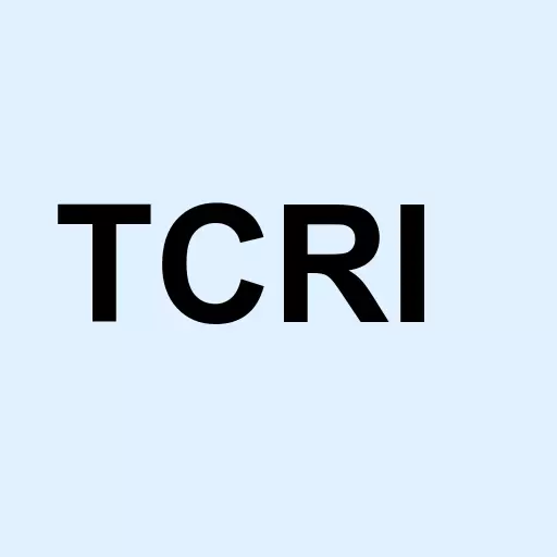 Techcom Inc Logo