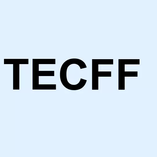 Teco 2030 Logo