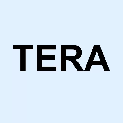 Teraforce Tech Corp Logo