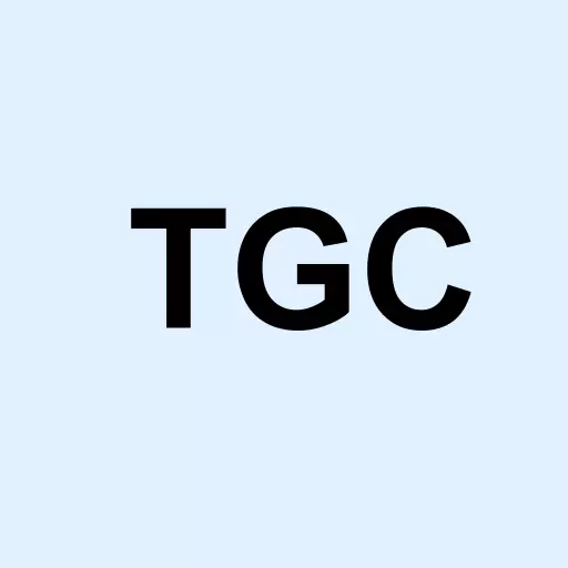 Tengasco Inc. Logo