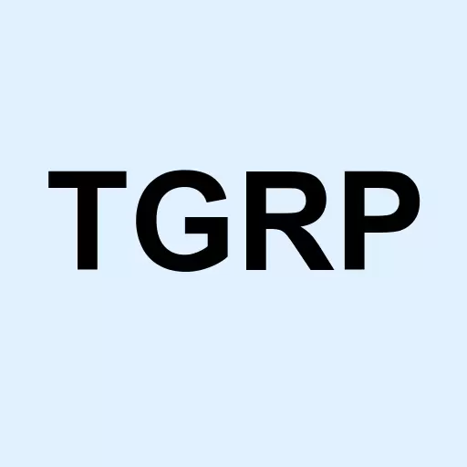 Tron Group Inc Logo