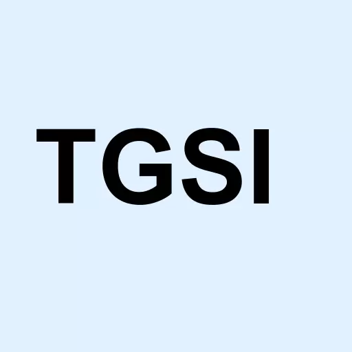 TGS International Ltd Logo