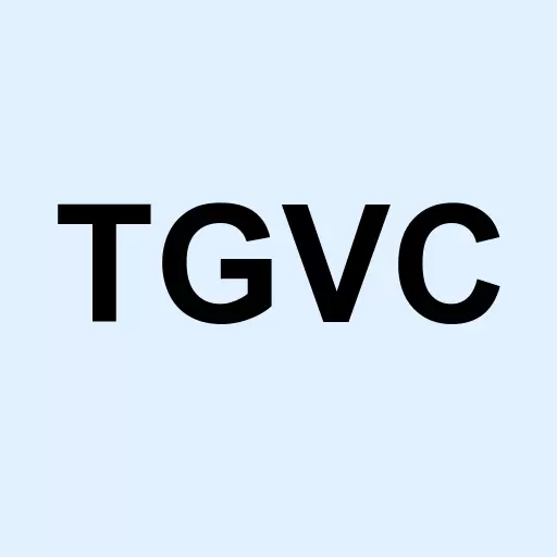 TG Venture Acquisition Corp. Logo