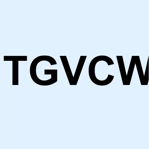 TG Venture Acquisition Corp. Warrants Logo