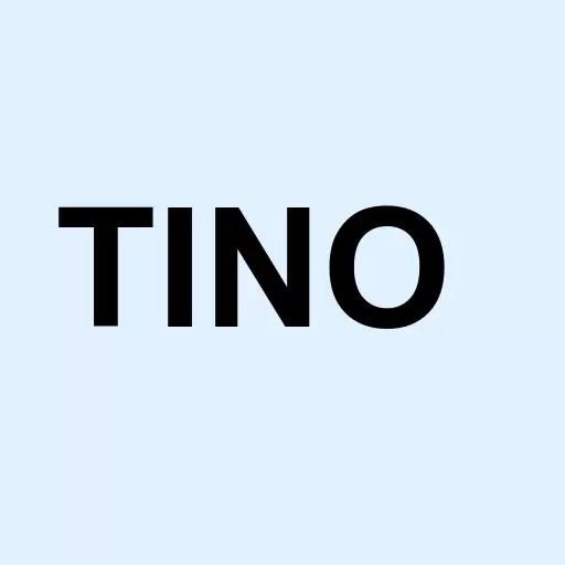 Tamino Minerals Inc Logo