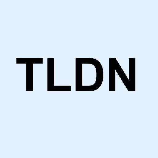 Telidyne Inc Logo