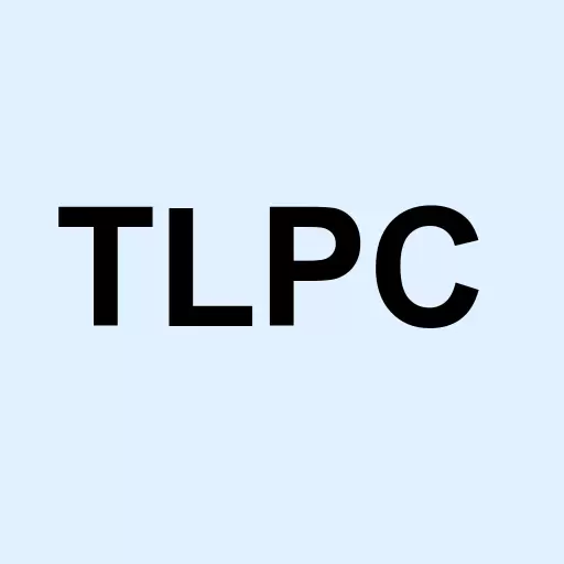 Telpac Industries Inc Logo