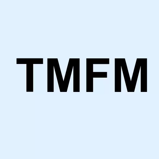 Motley Fool Mid Cap Growth ETF Logo