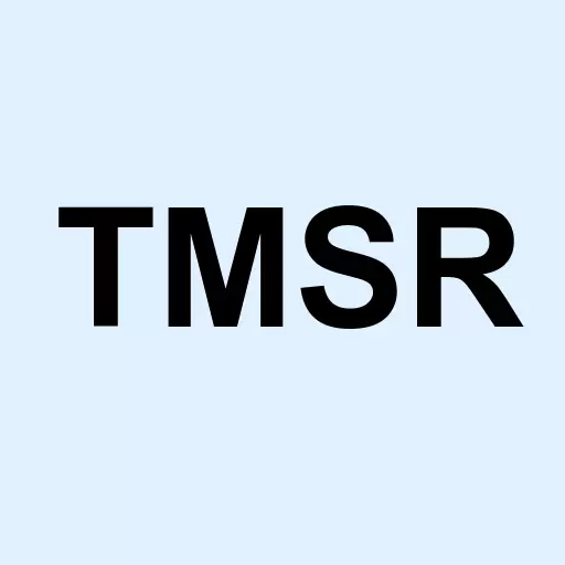TMSR Holding Company Limited Logo