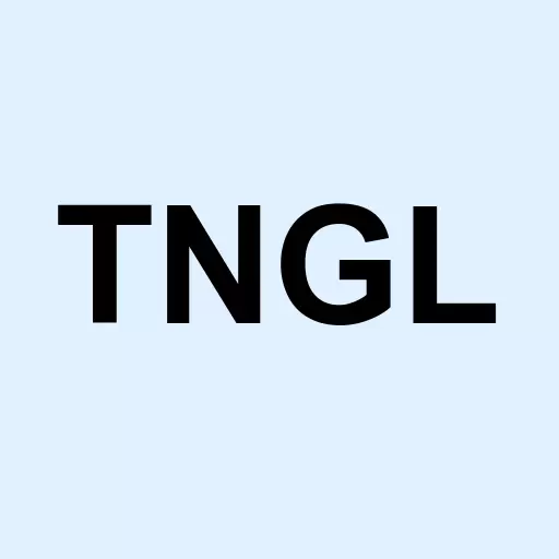 Tonogold Resources Inc. Logo