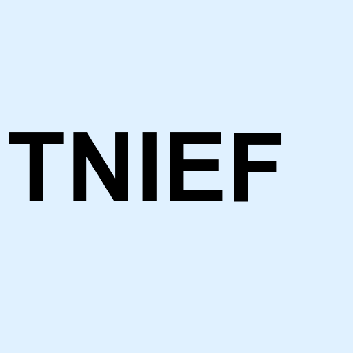 Stock tnief logo