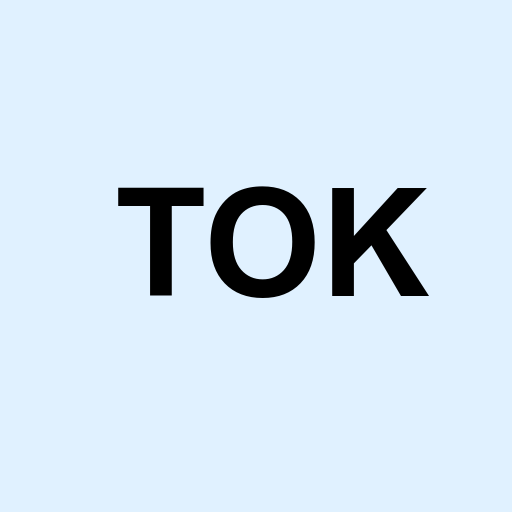 Stock tok logo