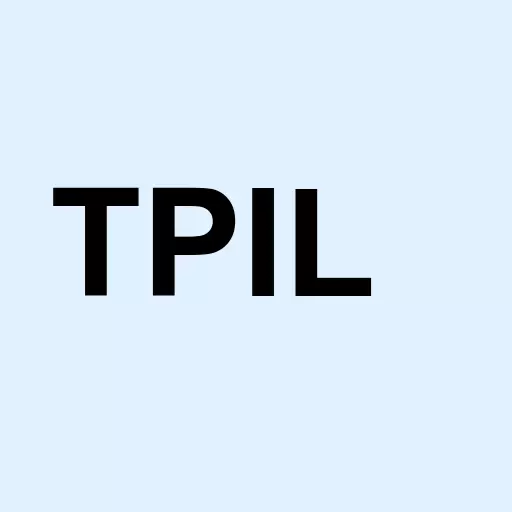 TPI International Inc Logo