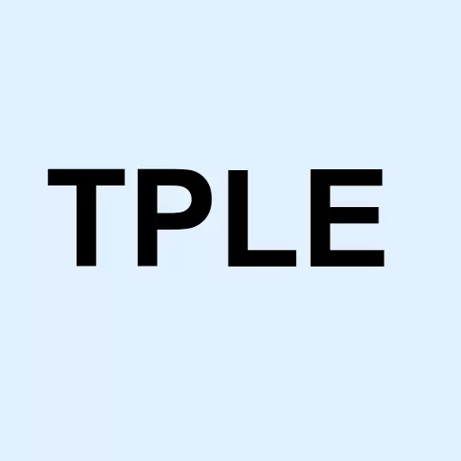 Timothy Plan US Large/Mid Cap Core Enhanced ETF Logo