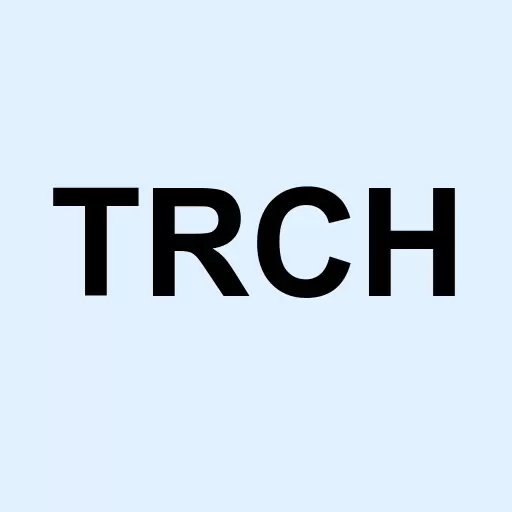 Torchlight Energy Resources Inc. Logo