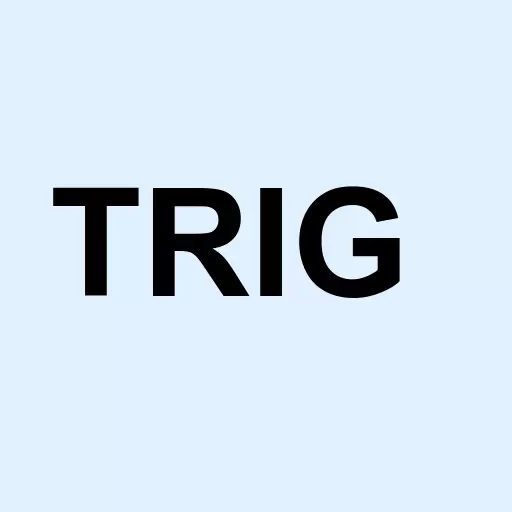 Trio Indus Group Inc Logo