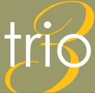 Trio Resources Inc Logo
