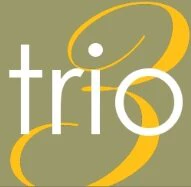 Trio Resources Inc Logo