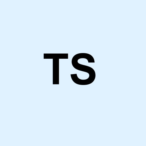 Stock ts logo